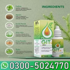 GIT 14 In Pakistan