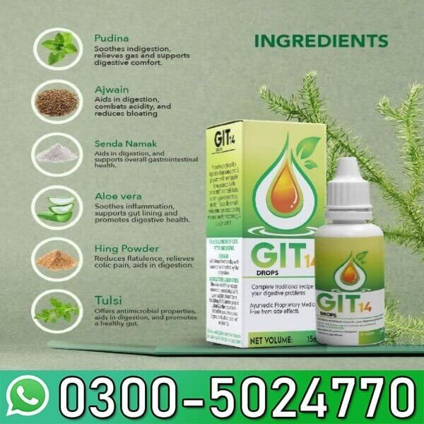 GIT 14 In Pakistan