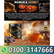  Himalayan Shilajit Gummies In Pakistan