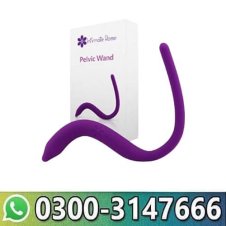  Vibrating Pelvic Wand Price In Pakistan